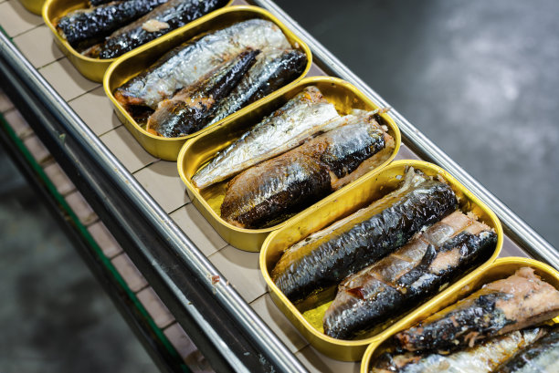 传送带上放着鱼的锡罐。图片下载