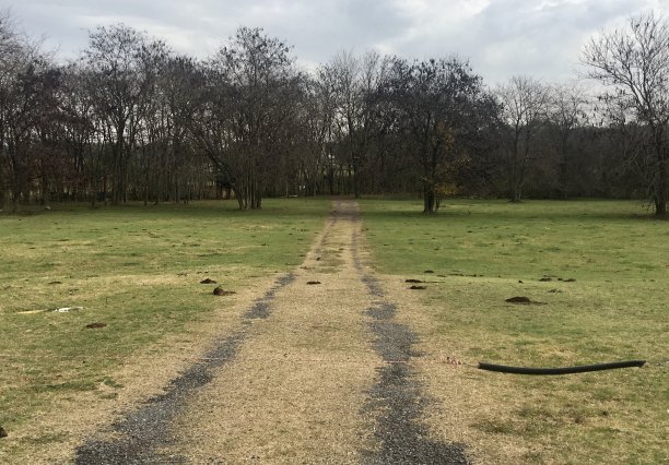 农村公路图片下载