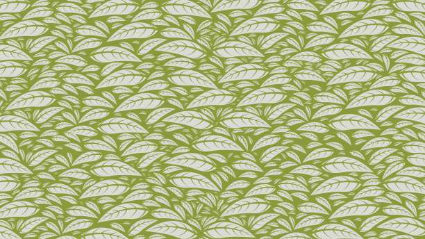 白色的叶子图片下载