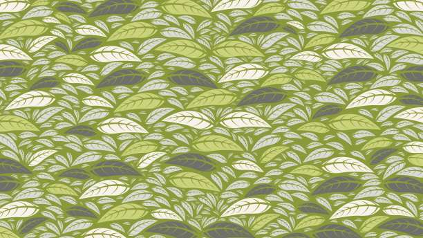 单音的叶子图片下载