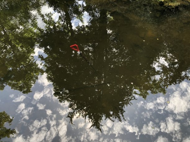池塘底部有红色把手的干草叉，水中倒影着附近的树木和云彩图片下载