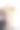 一名穿着白色t恤的年轻女子，手里拿着一束装在盒子里的花。白色雏菊，黄花，菊花。图片下载