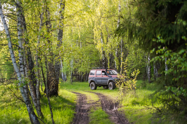 树林里的车图片下载
