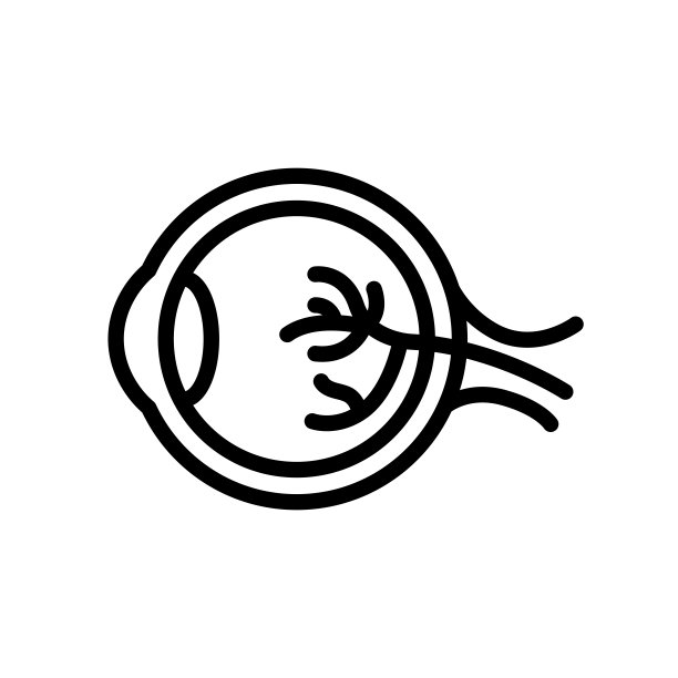 眼球、瞳孔、角膜解剖方案线平坦矢量医学图标图片下载