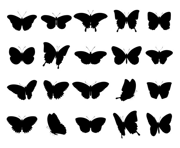 蝴蝶剪影集合图片下载