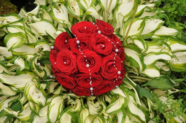 玫瑰花束新娘图片下载