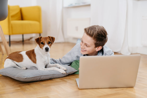 放松的小猎狗躺在垫子上图片下载