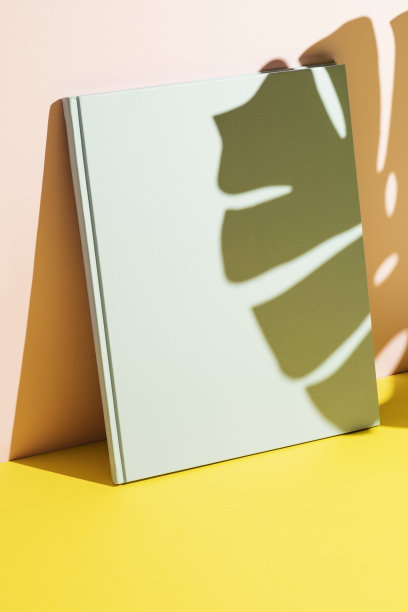 书封面模型，模板图片下载