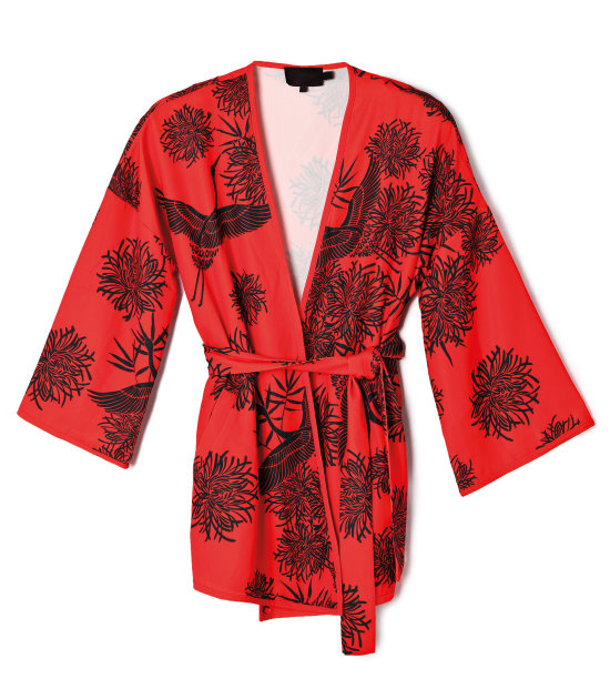 红色的浴袍图片下载