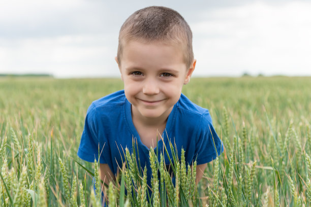 麦田里可爱的小农夫。麦田里一个小男孩的肖像。图片下载