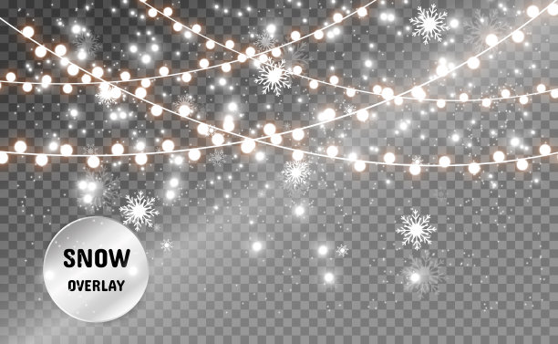 矢量图图片下载