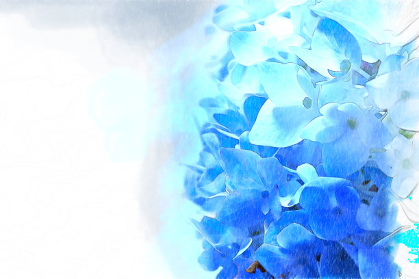 水彩绣球图片下载