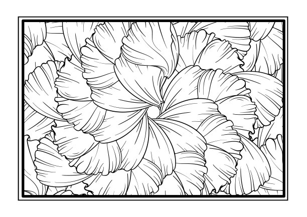 花卉花瓣装饰彩绘页，用于艺术治疗图片下载