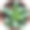 窗花(称为小脚趾或窗花)图片下载