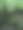 森林中生长的树木图片下载