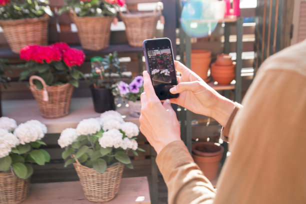 花店。图片下载