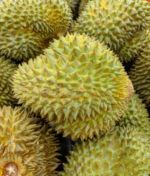 超市里出售的新鲜榴莲图片下载