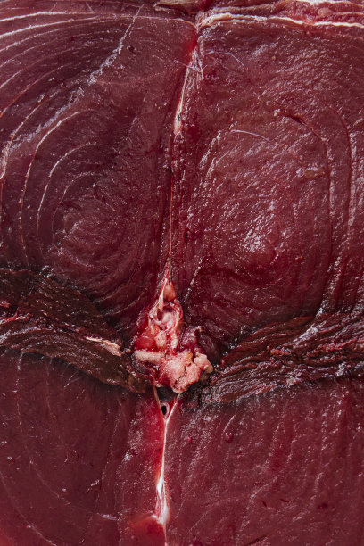 鱼市的金枪鱼排图片下载