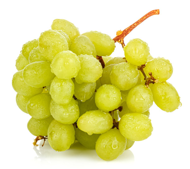 一串绿葡萄，表面有水滴，在白色的背景上有孤立的反射图片下载