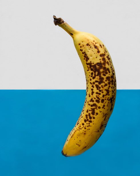 蓝白背景上的成熟香蕉图片下载