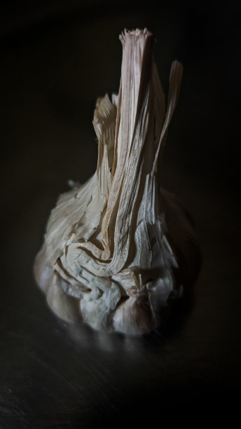 生的食物成分图片下载