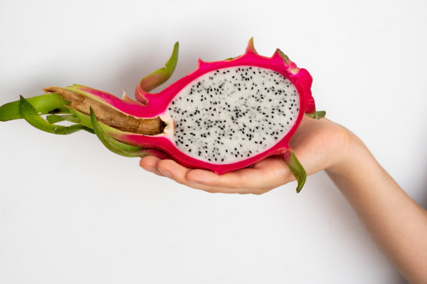 女性双手捧着半颗熟透的白龙果在白底上。图片下载