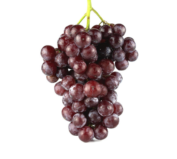葡萄孤立的白色背景图片下载