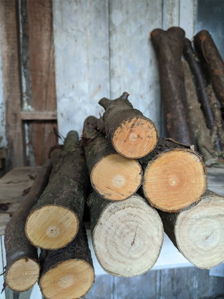 桌子上新砍的木头图片下载