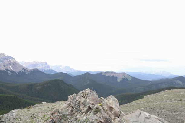 美丽的加拿大山脉，树木，岩石和湖泊图片下载