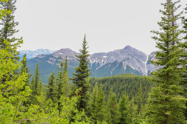 美丽的加拿大山脉，树木，岩石和湖泊图片下载
