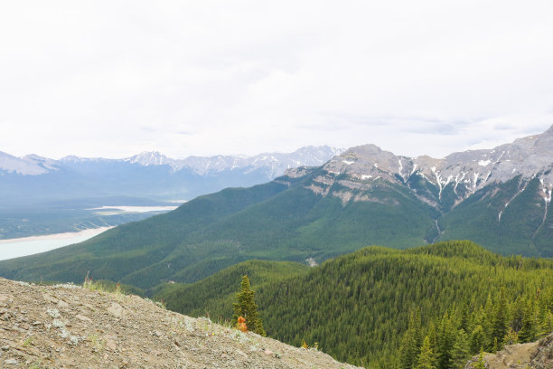 美丽的加拿大山脉，树木，岩石和湖泊图片下载
