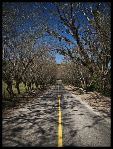 墨西哥的风景图片下载