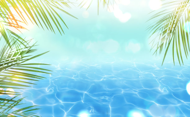 夏天的背景图片下载