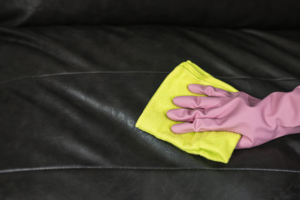 女人用杀菌喷雾擦沙发，再用毛巾擦。图片下载