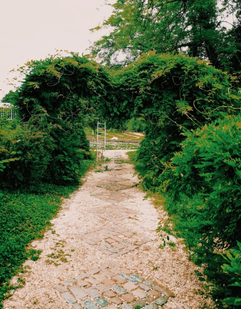 通往我心的阶梯图片下载