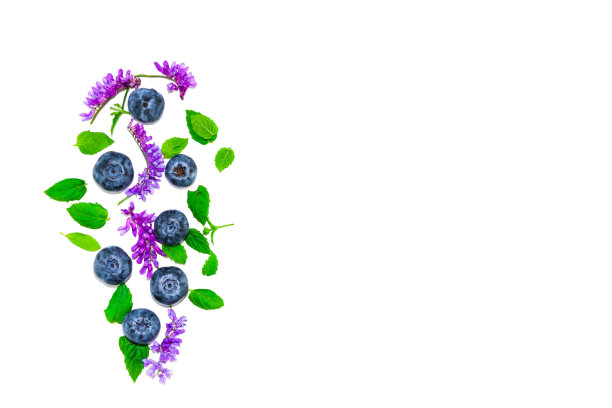 新鲜的成熟的大蓝莓，紫色的野花和绿色的叶子。孤立在白色背景上，俯视图。夏天的花朵图案图片下载