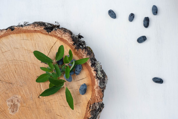 在白色和木制的背景上放着一盘新鲜的西伯利亚金银花蓝色浆果。图片下载