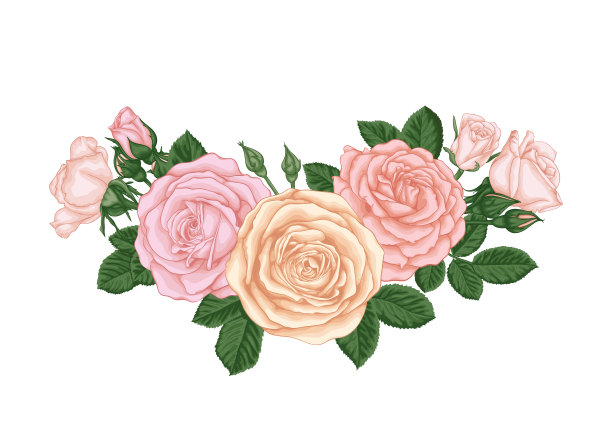 美丽的花束，粉嫩的玫瑰花蕾和叶子。插花艺术。设计贺卡和婚礼、生日、情人节、母亲节等节日的请柬图片下载