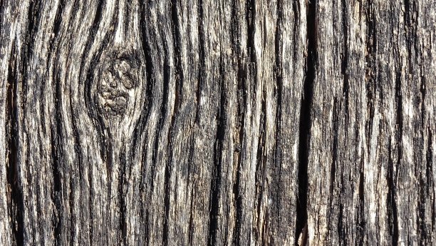 在旧橡木板上有清晰的纹理图案。背景图片。图片下载