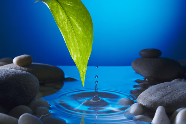 完美的水滴从一片树叶上落进池塘，荡漾着蓝色的涟漪，映照着夜晚的水坑，周围是鹅卵石。和平的宁静。图片下载