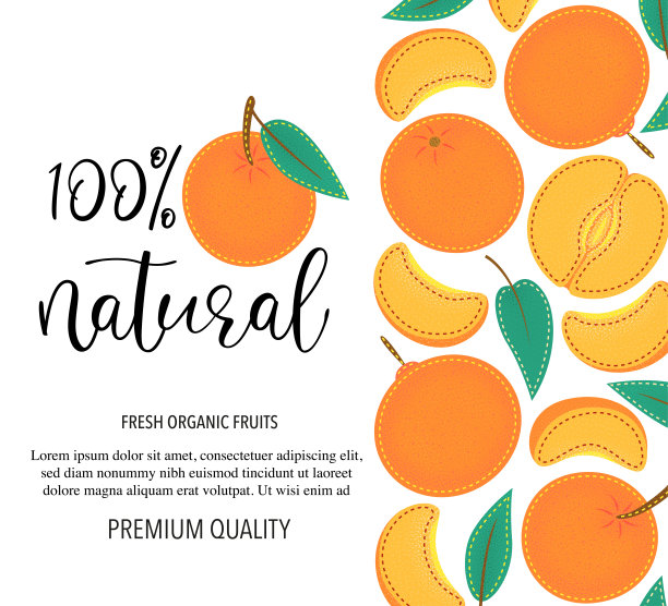 矢量背景与橘子，整体和块。矢量股票插图孤立在白色背景。卡片设计与水果。产品信息及文字“100%天然”。图片下载