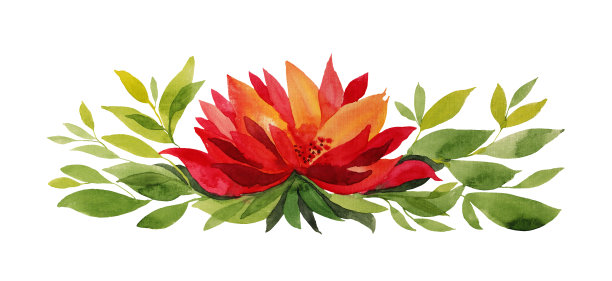 水彩手绘橙色和红色的秋天花菊花或百合与绿色的叶子孤立在白色的背景。艺术创作水平对象贴纸，卡片，墙纸，纺织品，包装图片下载