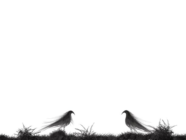 鸟剪影草插图抽象在白色的背景。图片下载