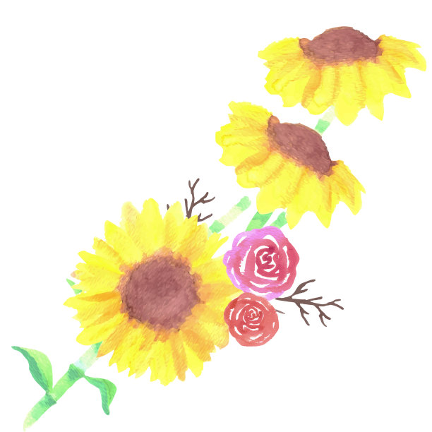 向日葵和玫瑰花束与树枝水彩画图片下载