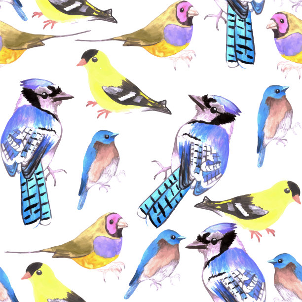 水彩鸟类在四分色方案无缝图片下载