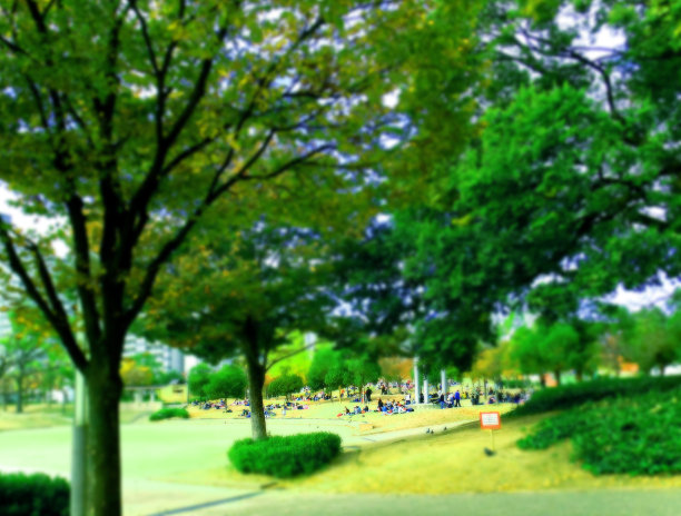 它是在公园里放松人们图片下载