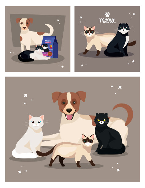 设置海报可爱的狗和猫图片下载