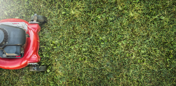 割草机在后院割绿草，园艺服务。图片下载