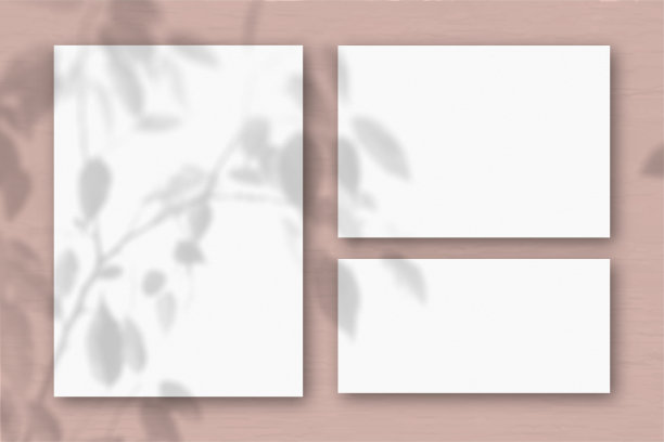 几张水平和垂直的白色纹理纸在粉红色的墙的背景上。自然光在外来植物上投下阴影。平躺，俯视图图片下载