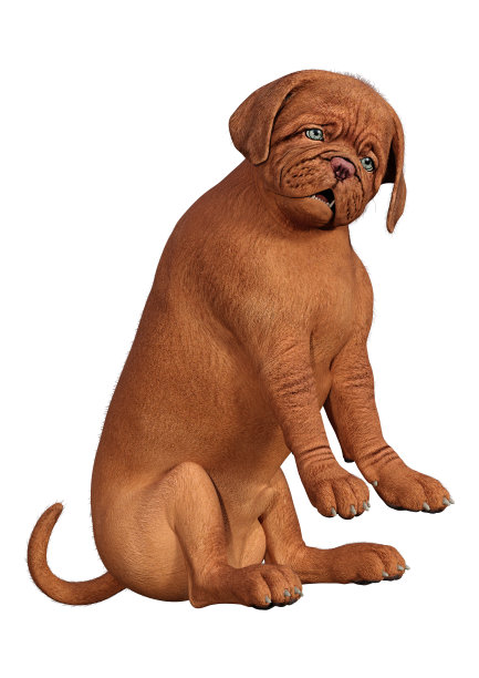 3D插图可爱的小狗在白色图片下载